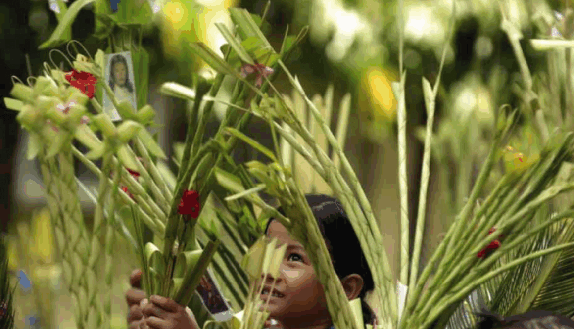 Screenshot 2025-04-17 at 10.41.33 PM